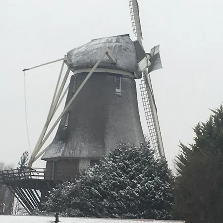 Gardenhouse Mariposa Hotel Badhoevedorp