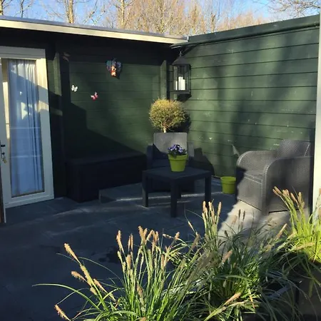 Gardenhouse Mariposa *